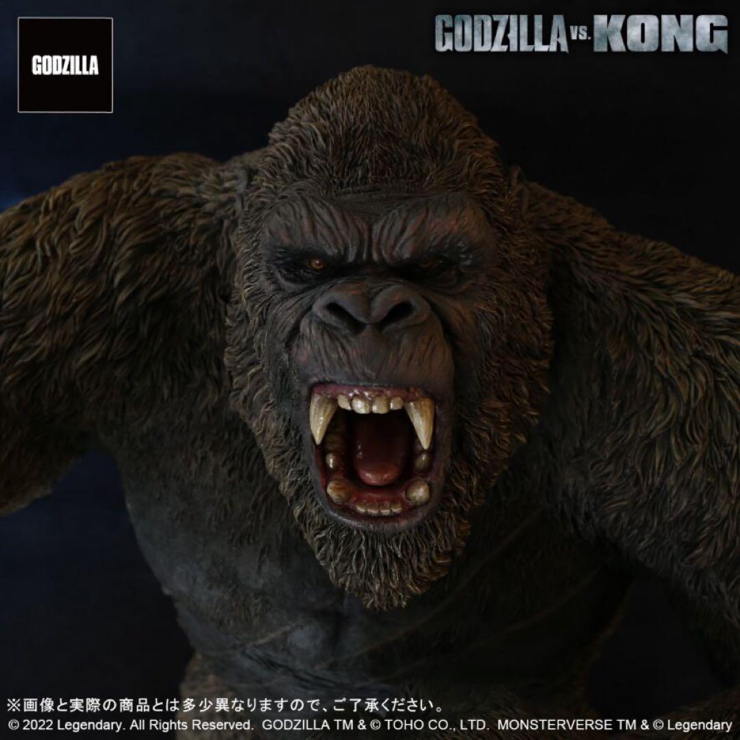 普*々様 KONG フィギュア ゴジラ vs コング (2021)