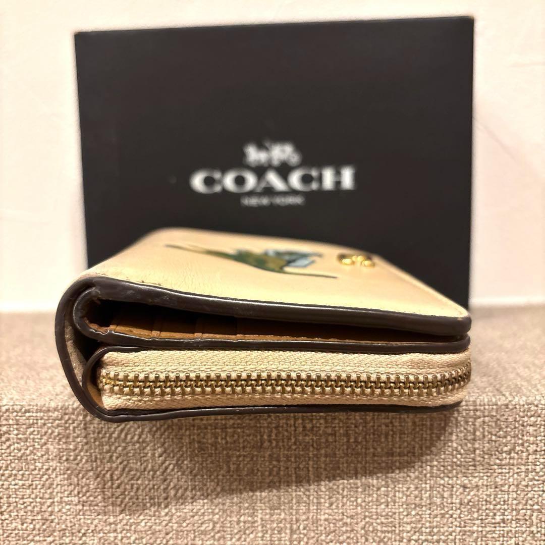【箱付き】coach 二つ折り財布 レキシー　恐竜