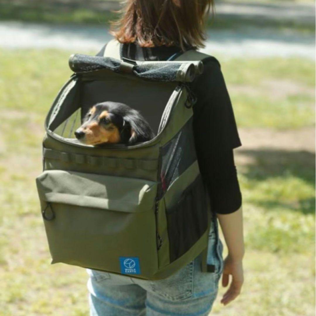 Whole Earth ホールアース　ペットキャリー　リュック　バックパック