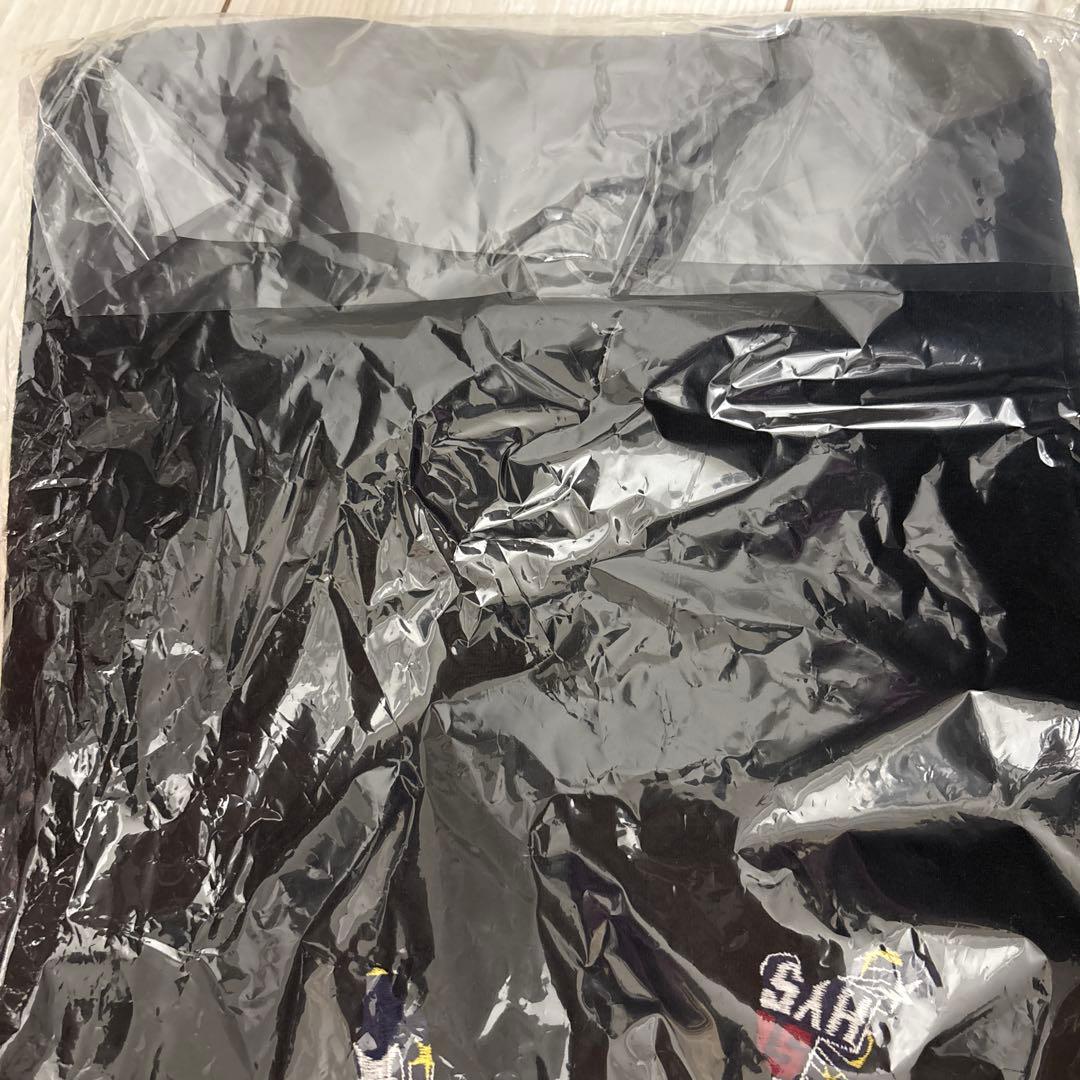 ヒステリックグラマー ビクセンガール 刺繍 Tシャツ 黒 L 未使用