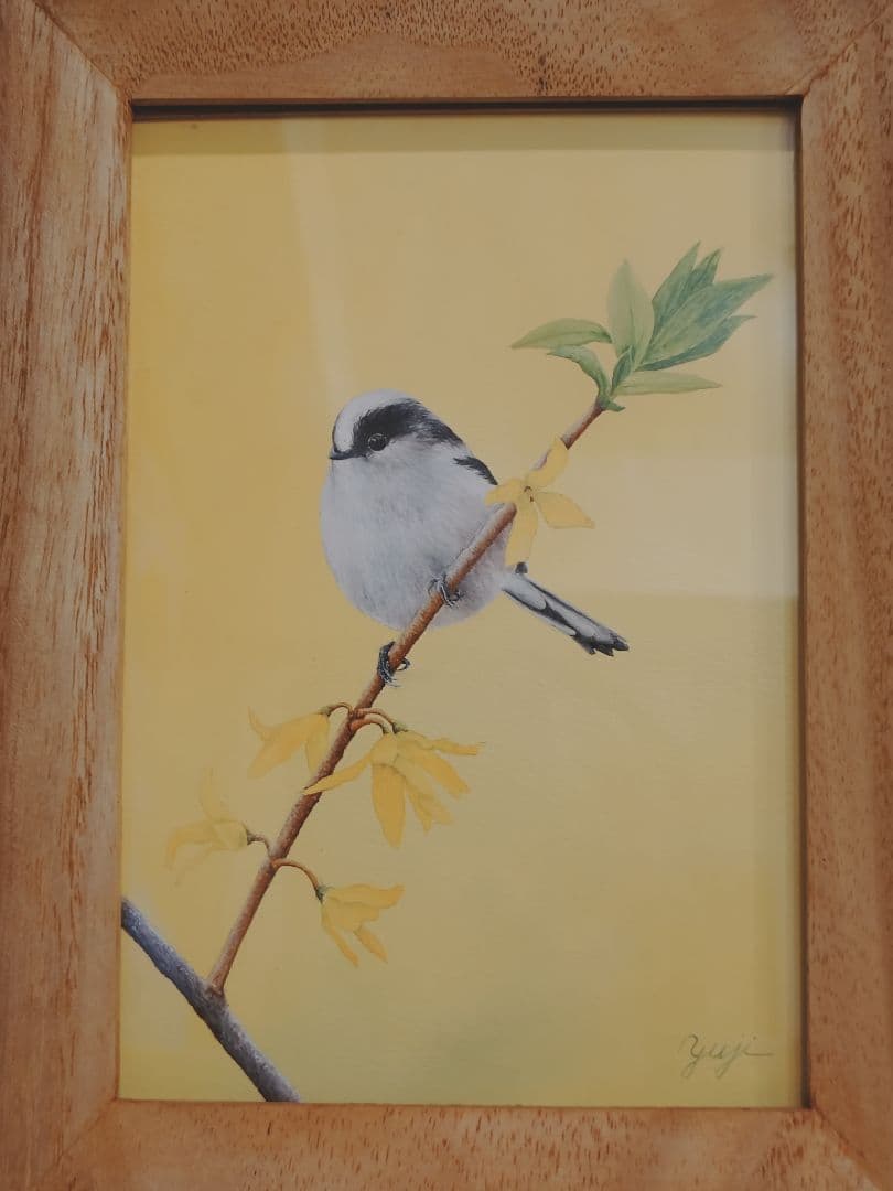 エナガ　谷上裕二