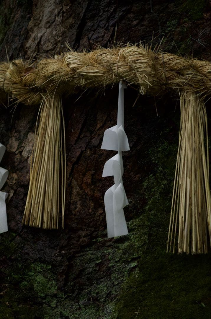 年末セール 元箱フード付き Leica TELE ELMAR 135mm f4