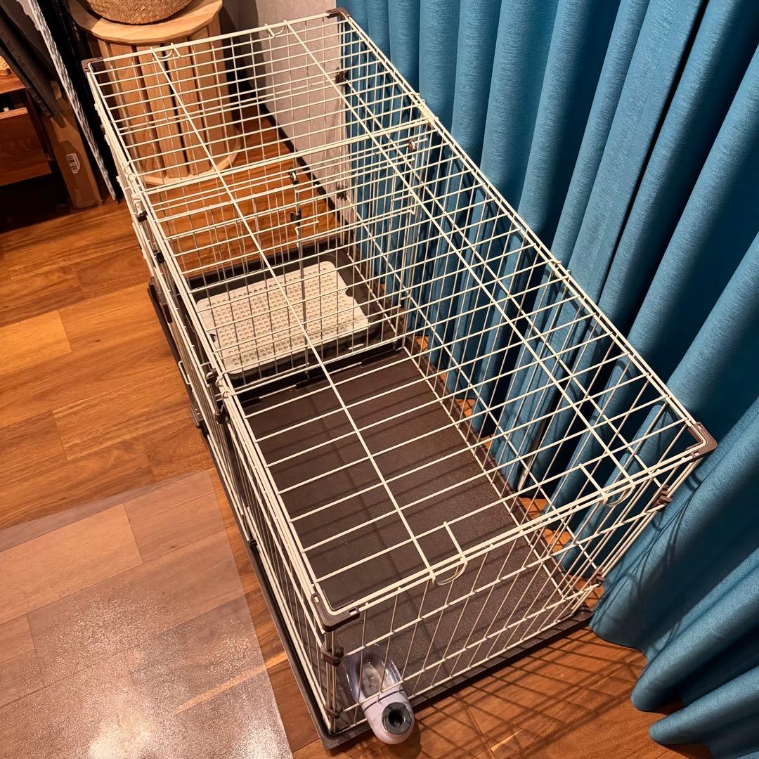 んぽちゃむ 【オマケ付き／引取可】コーナンオリジナル LIFELEX 2ル