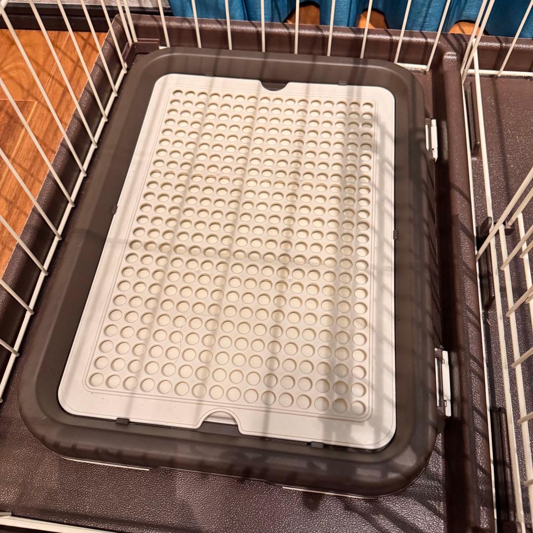 んぽちゃむ 【オマケ付き／引取可】コーナンオリジナル LIFELEX 2ル