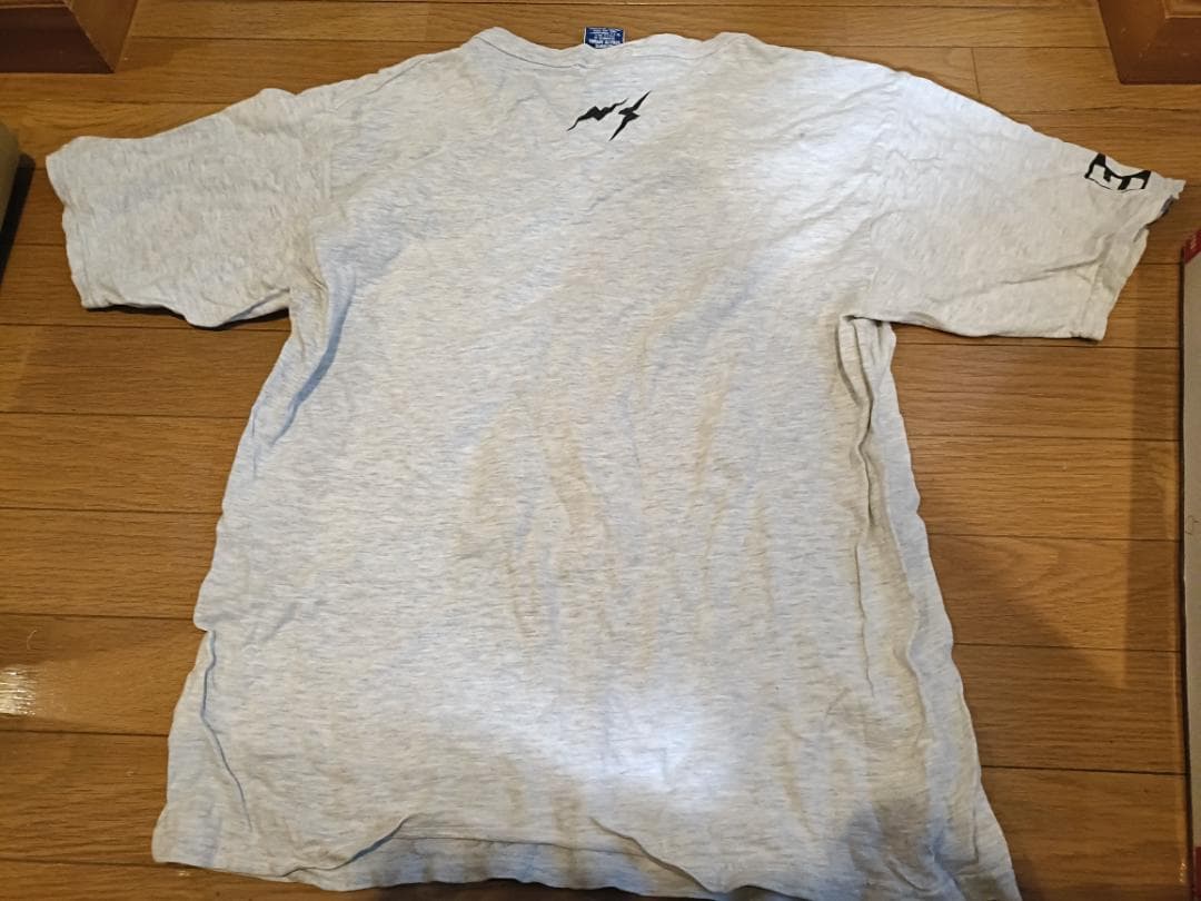 ELECTRIC COTTAGE Championボディ　Tシャツ