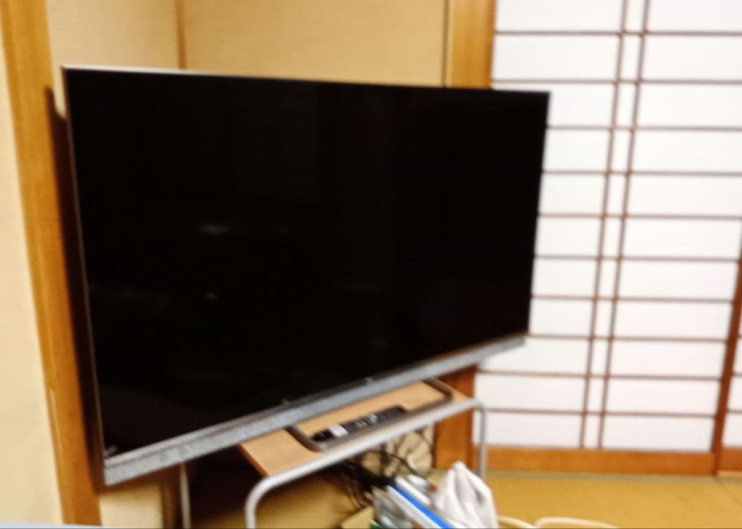 カナリア　TCL55C826 テレビ