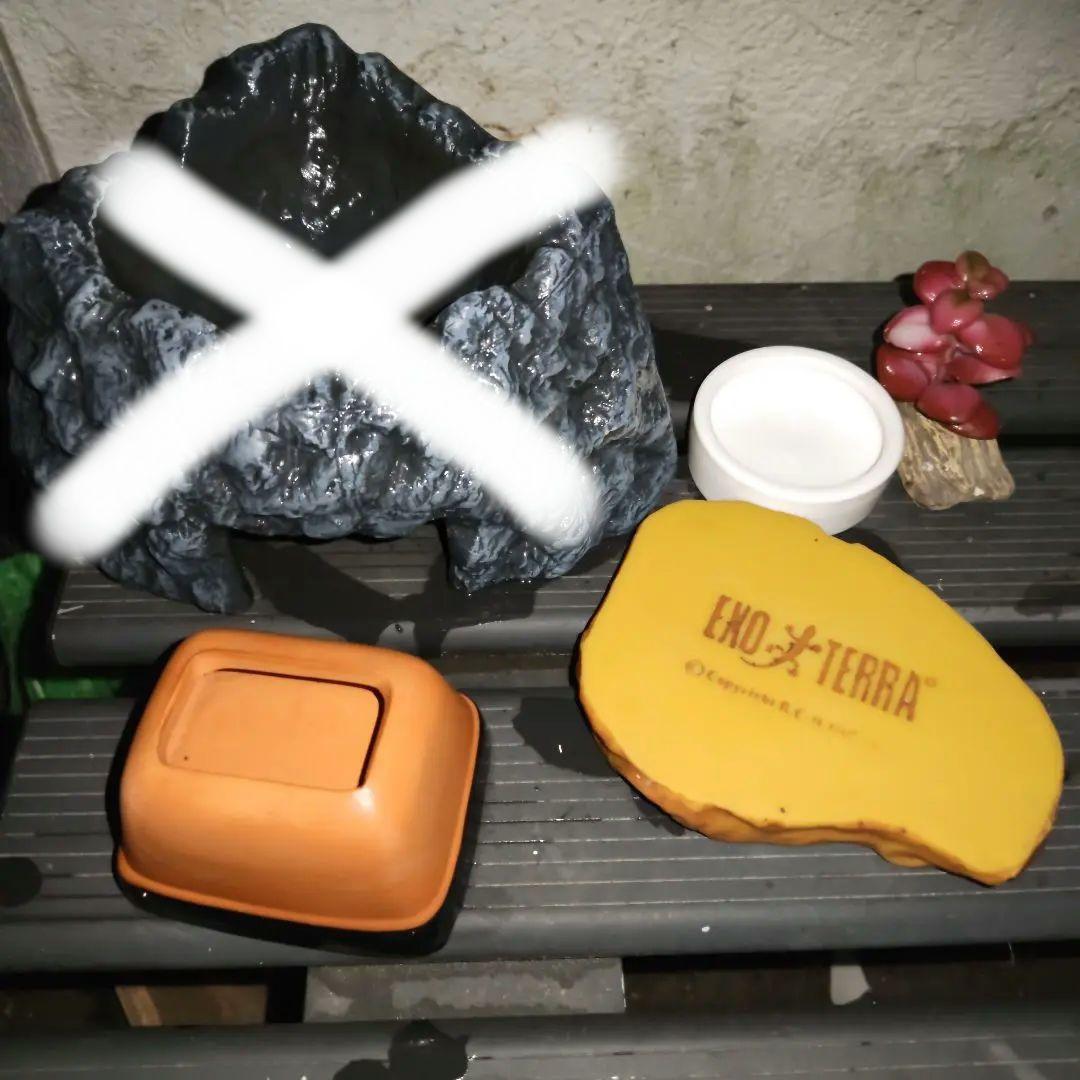 EXO TERRA4545 飼育ケージ 中型