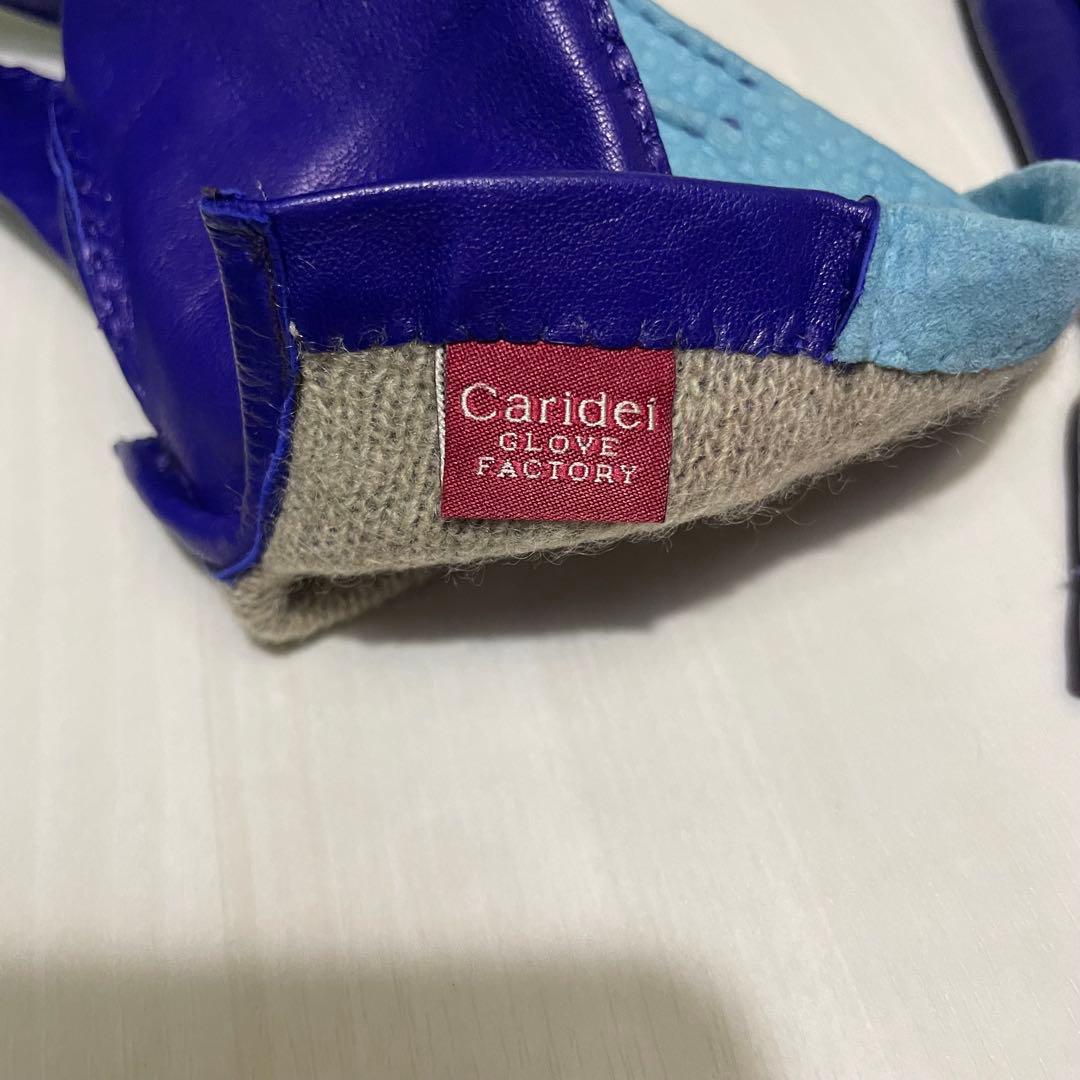 カピバラレザー☆メンズ☆手袋☆ブルー☆水色☆本革☆