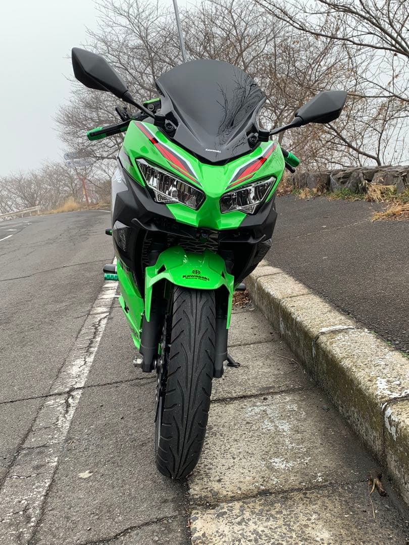 カエディアウィンカー 2個セット