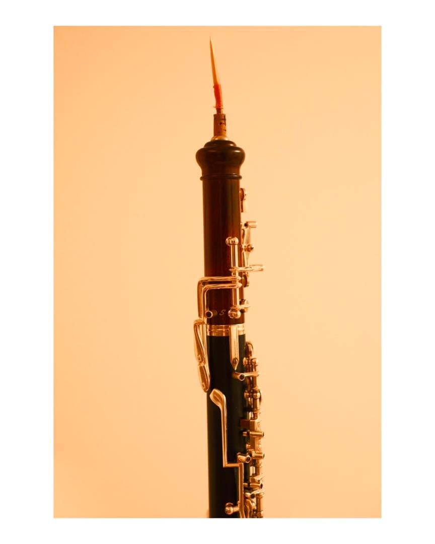 momo イングリッシュホルンリード2本