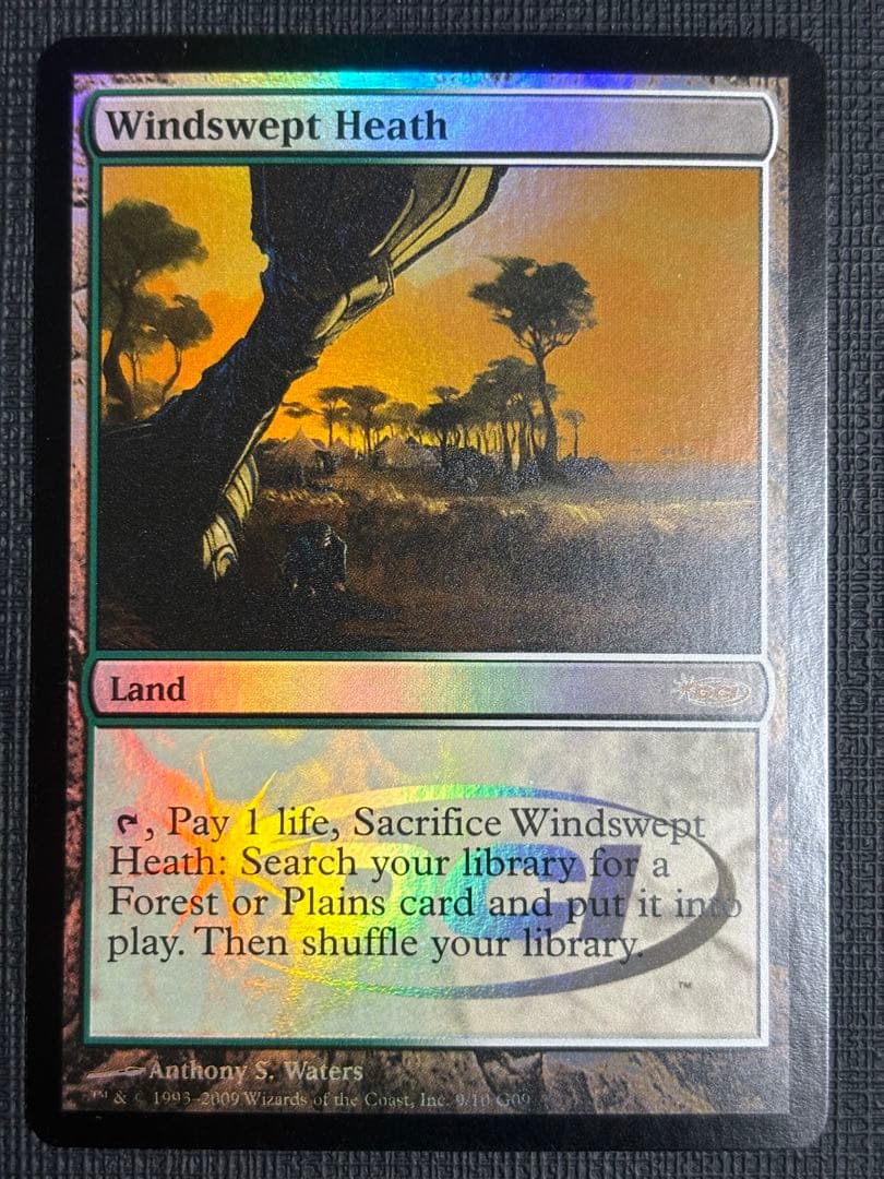 吹きさらしの荒野  ジャッジ褒賞