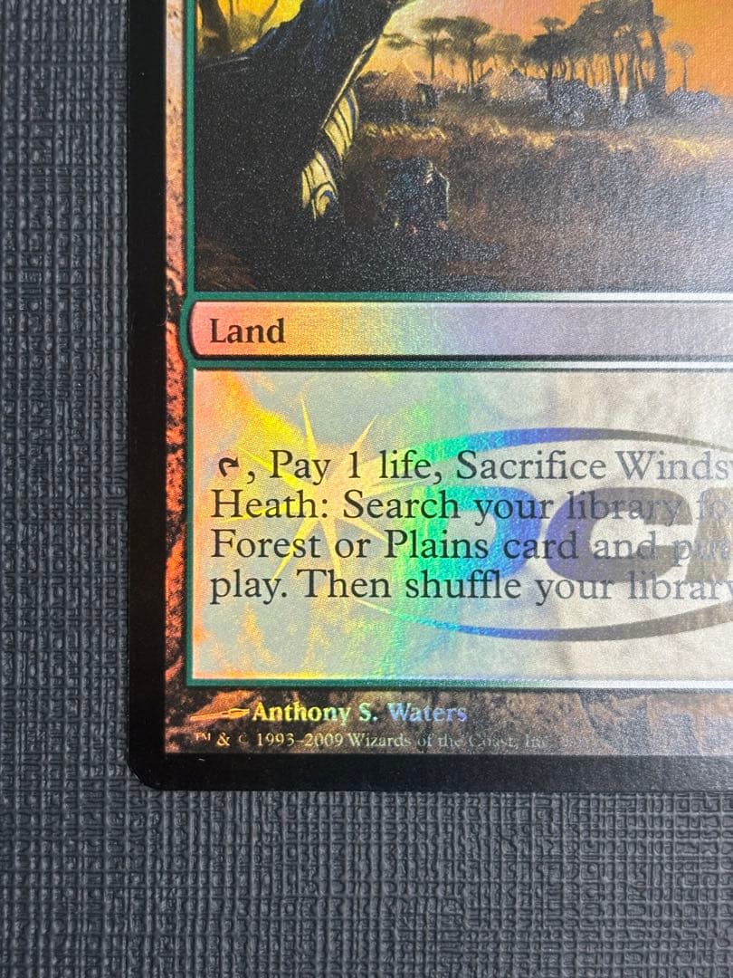 吹きさらしの荒野  ジャッジ褒賞