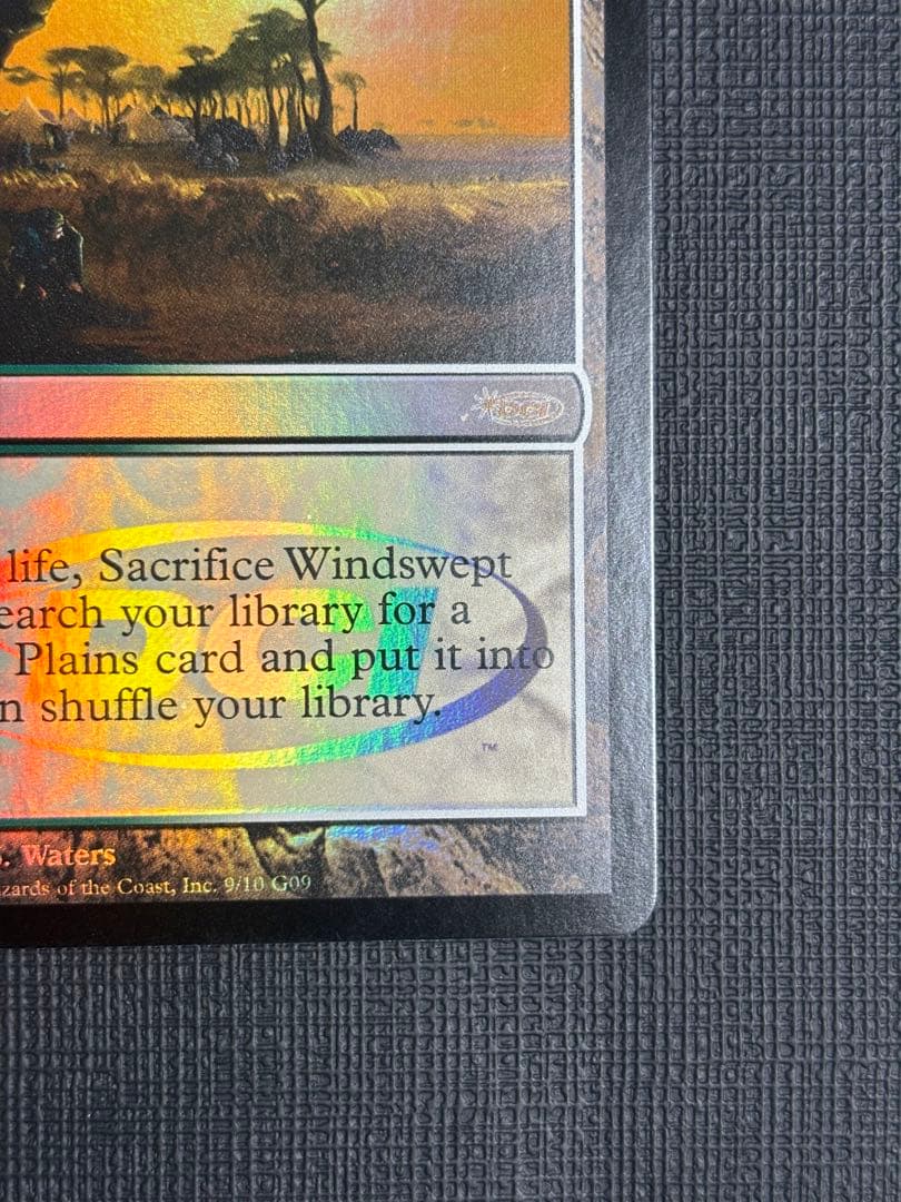 吹きさらしの荒野  ジャッジ褒賞