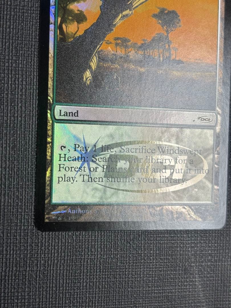 吹きさらしの荒野  ジャッジ褒賞