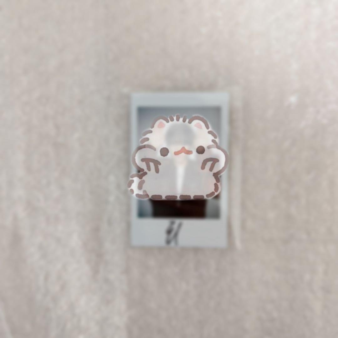 idntt テイン サインポラロイド