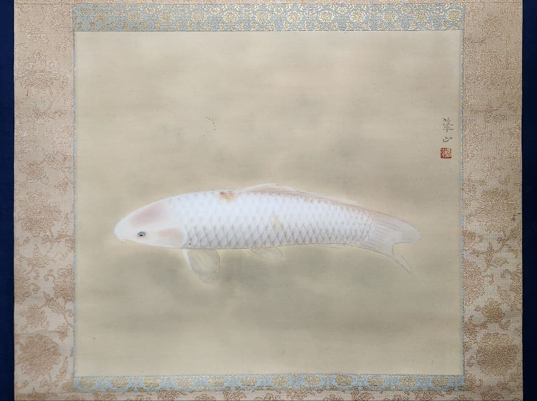 【彩鯉図】島津華山 2687 共箱二重箱仕立 掛け軸 肉筆 白コイ