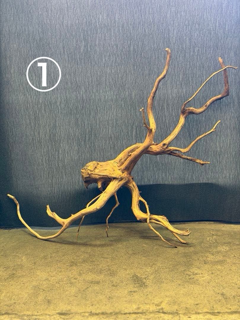 スマトラウッド・ブランチウッド 流木(大)2本組SET アクアリウム＆テラリウム