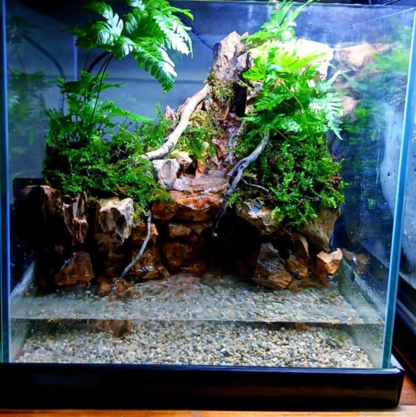 ️⭕️本日限定sale️⭕️アクアテラリウム 完成品 滝 ガラス水槽