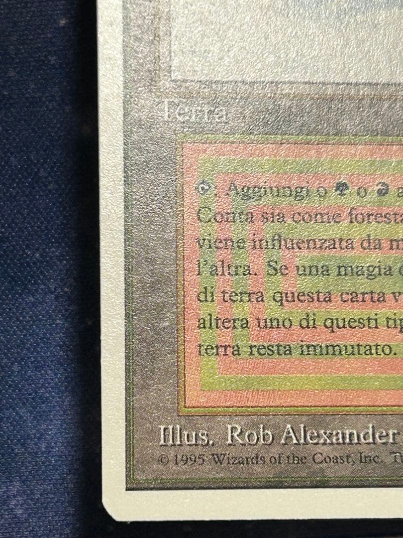 MTG Taiga デュアルランド