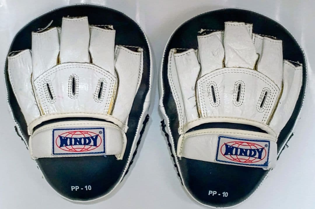WINDY PP-10 パンチングミット(湾曲タイプ)