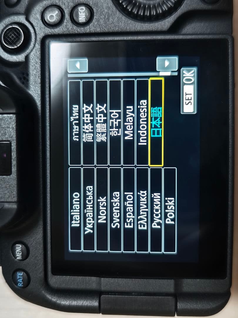 Canon EOS R6 Mark2 ボディシャッター回数1750元旦特価