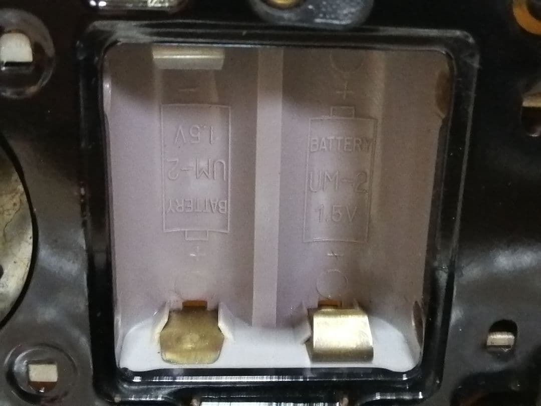 アオシン　元気な仔犬　日本製