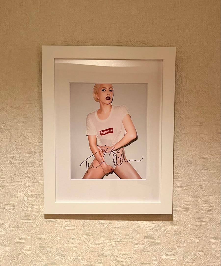 限定 Terry Richardson Lady Gaga 写真 SUPREME