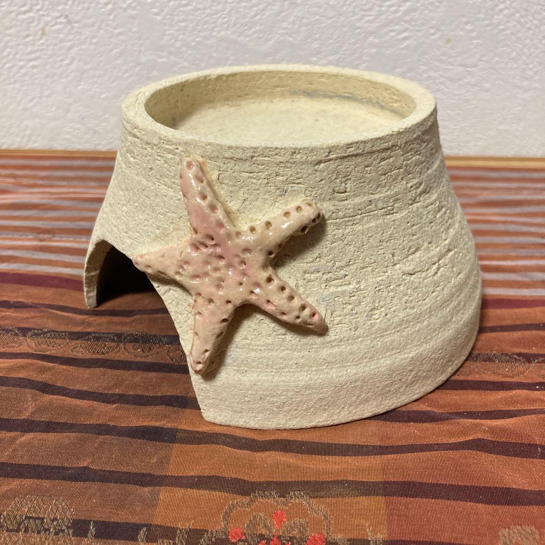 爬虫類シェルター　405 ヒトデピンク