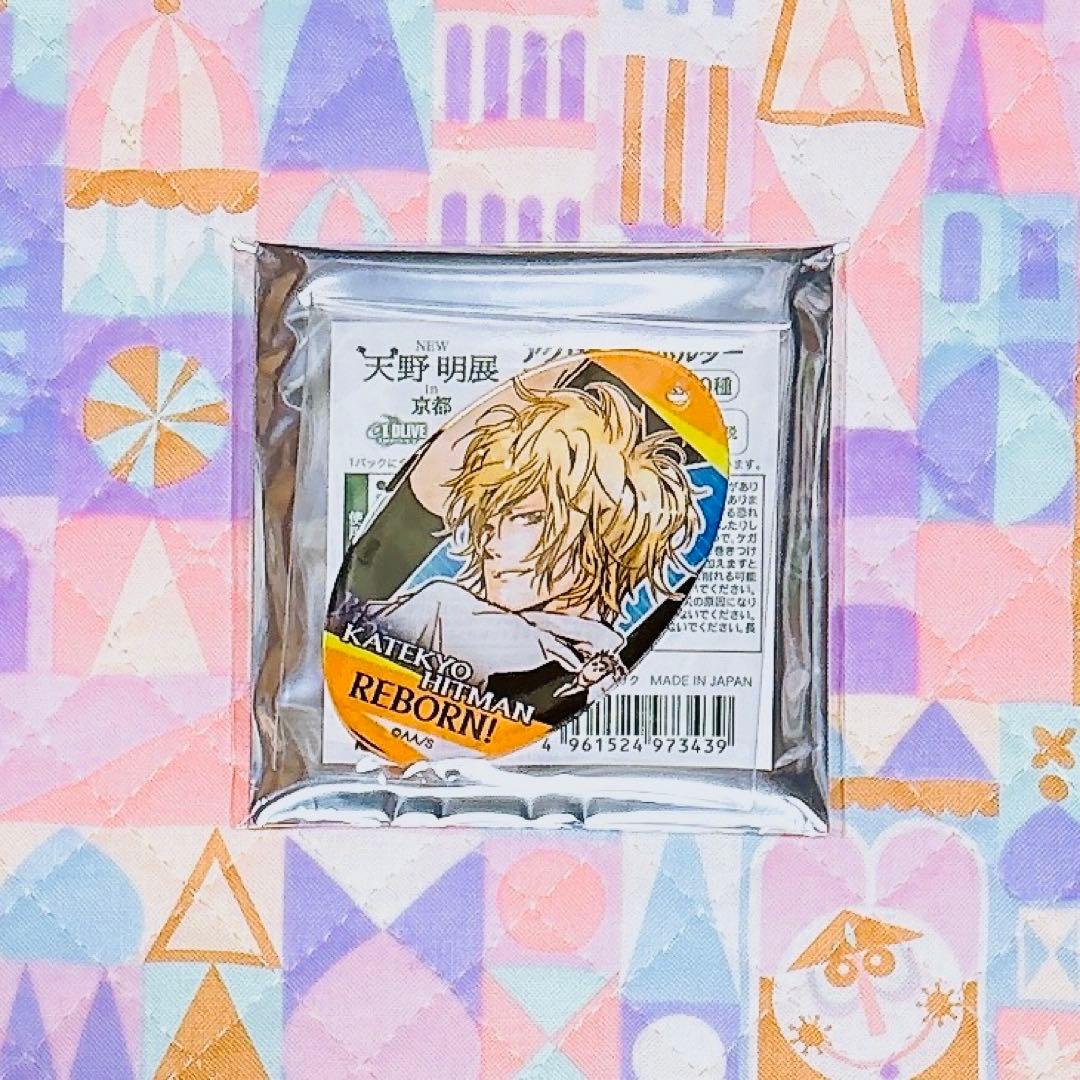 リボーン 天野明展 アクキー ディーノ