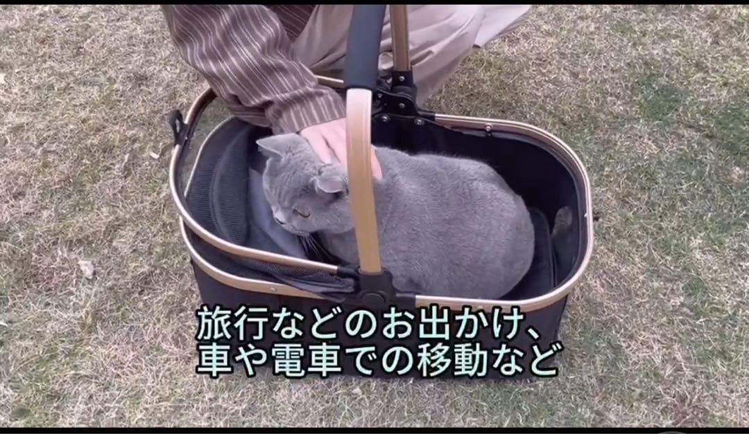 4WAYペットカート ブラック