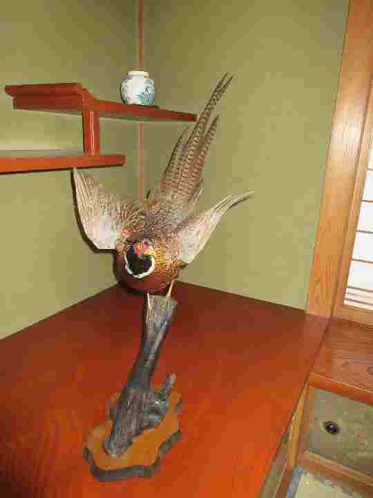 雄雉のはくせい