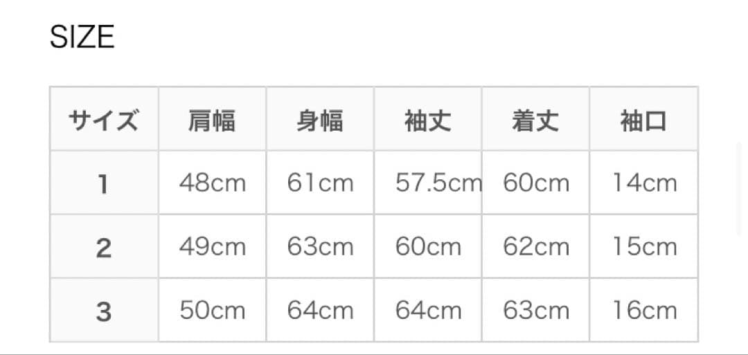 comoli 25SS シルクネップ ジップショートジャケット サイズ3