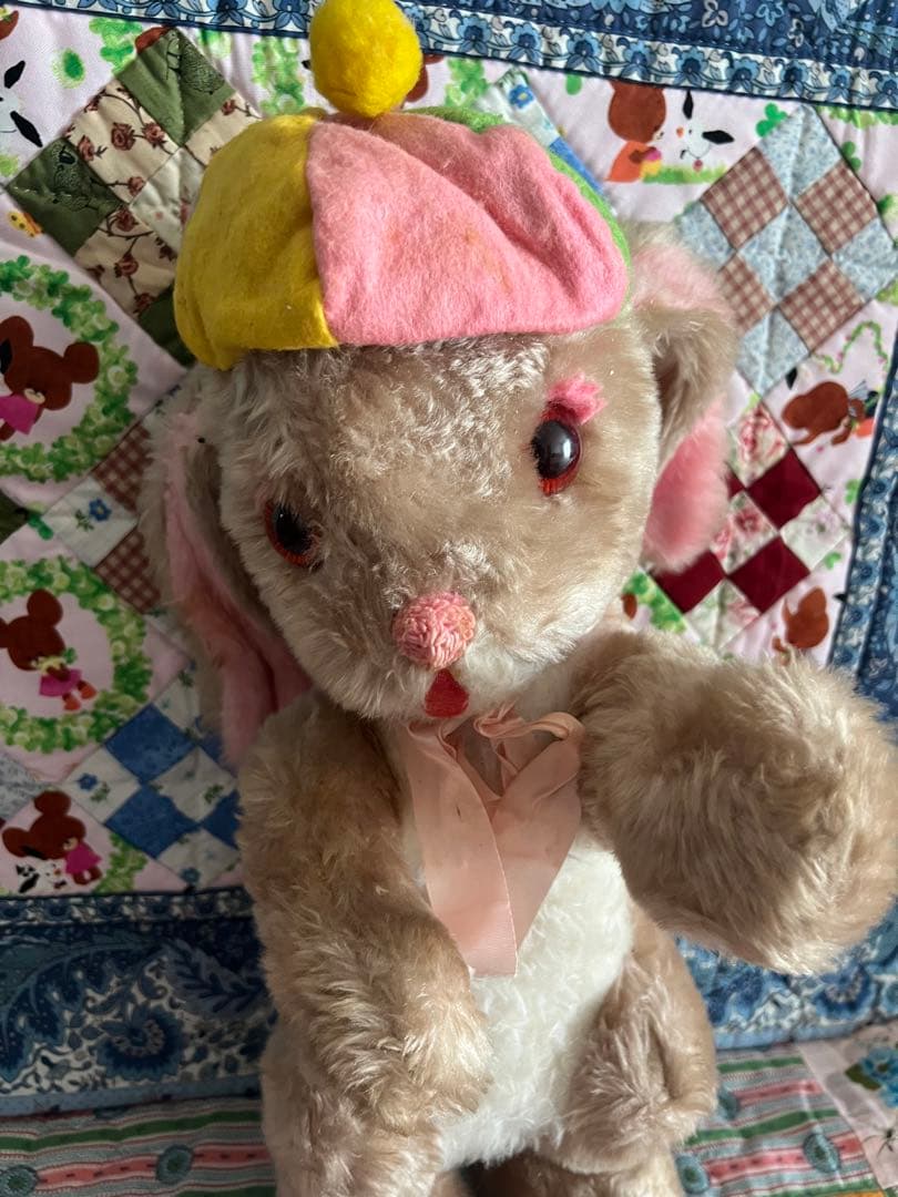 ラシュトン✳︎Rushtonうさぎさん