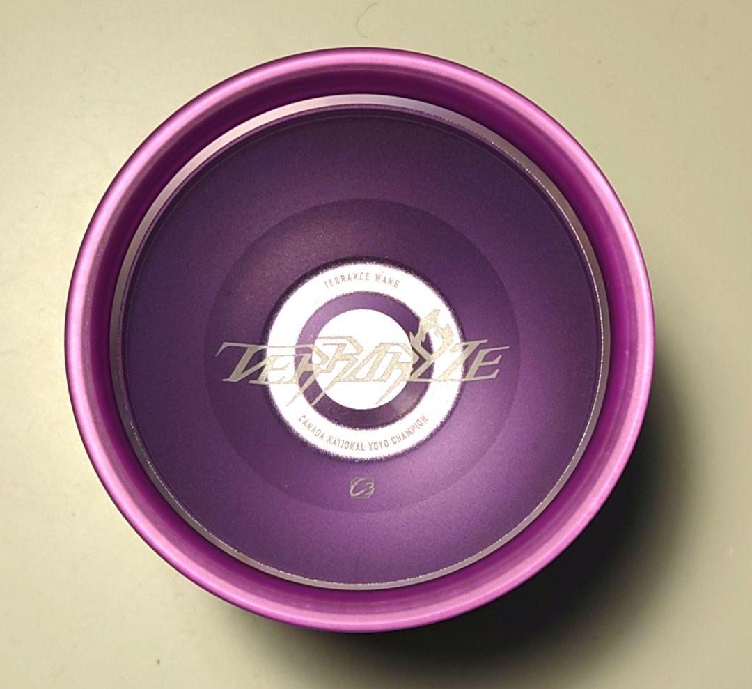 R*a様 残り9時間　特価ラスト　新品　テラライズ