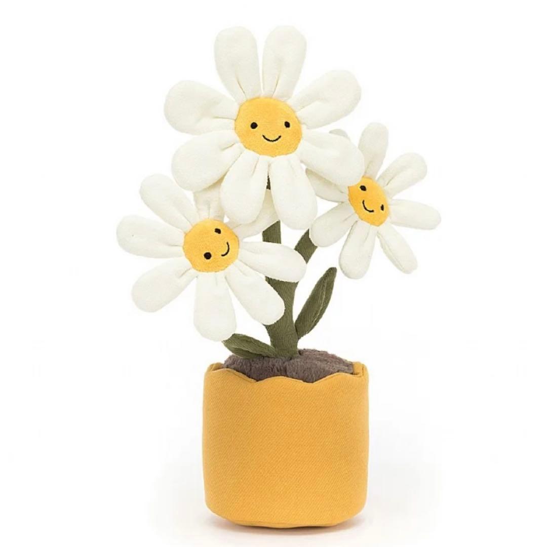 新品　ジェリーキャット　デイジー　花　観葉植物　インテリア　雛菊　ヒナギク