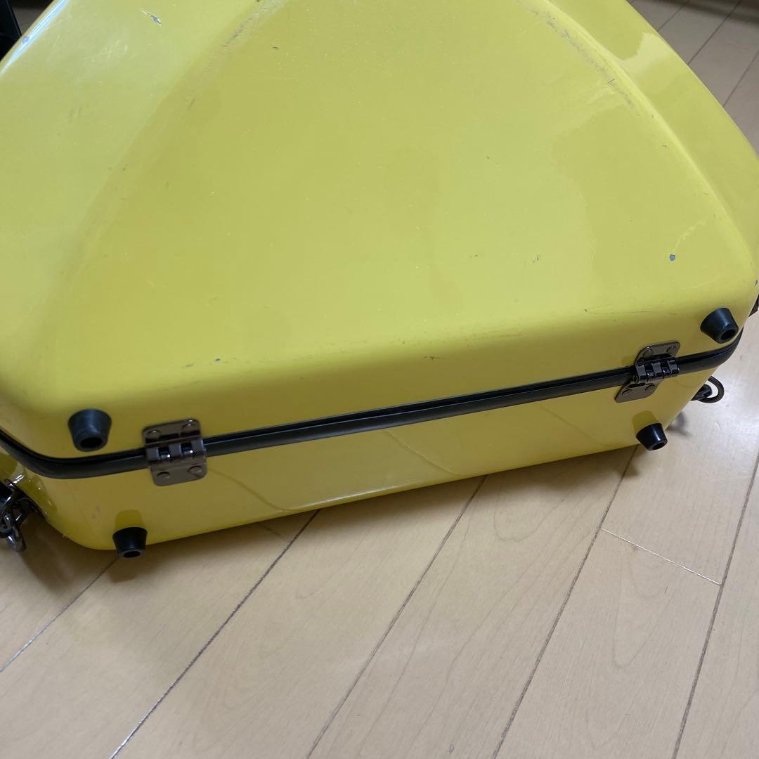 フレンチホルンケース イエロー　イーストマン社