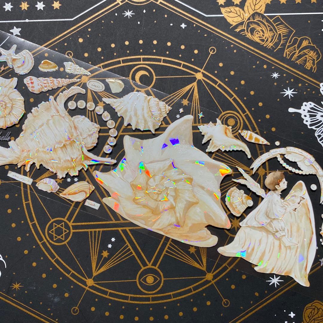 【9262】海外　マステ　中古巻　貝殻光マスキングテープ　貝　装飾系