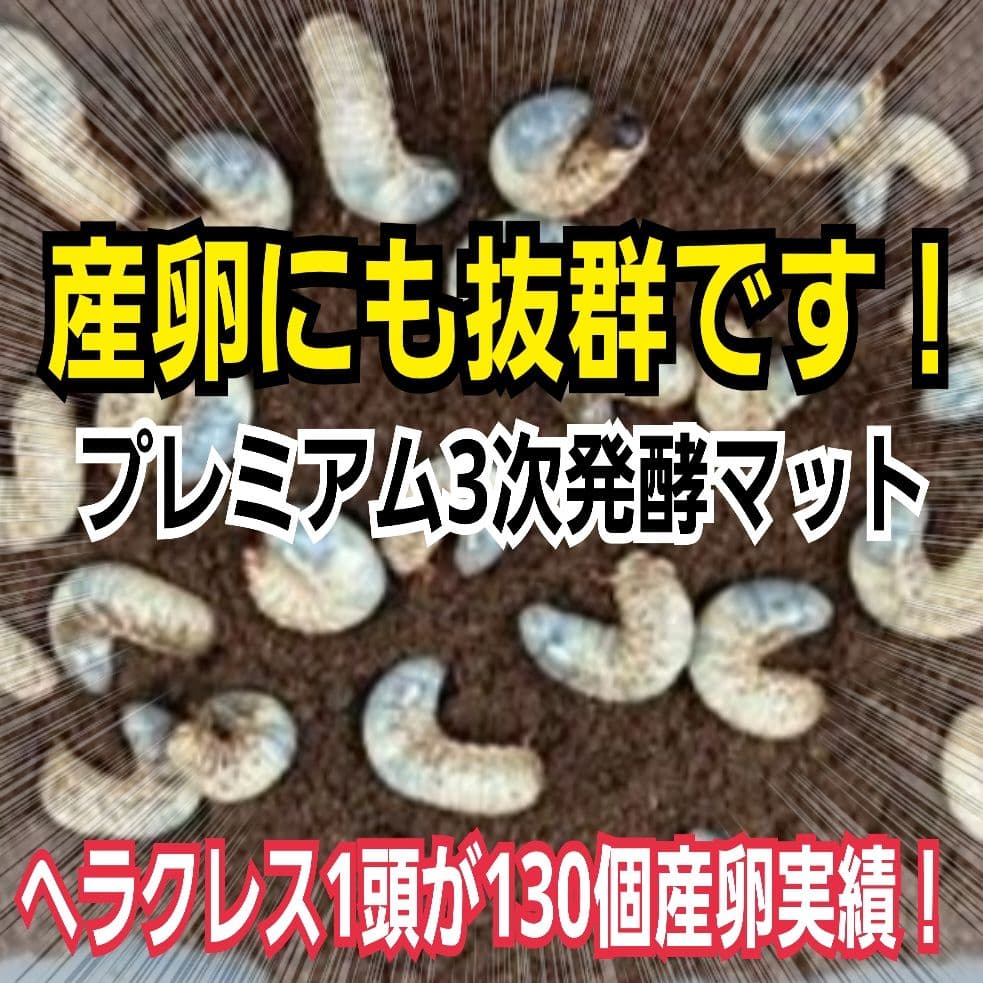 カブトムシ幼虫が巨大化！プレミアム3次発酵マット【70リットル】産卵にも抜群！