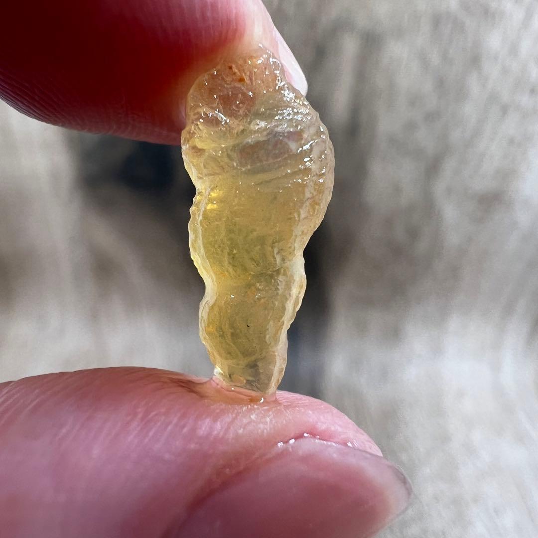 オパライズドシェル オパール 貝 巻貝 鉱物 標本 原石