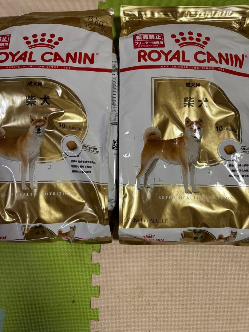 【ロイヤルカナン】柴犬専用フード　成犬用　8キロ2袋　犬用 シニア　ドッグフード