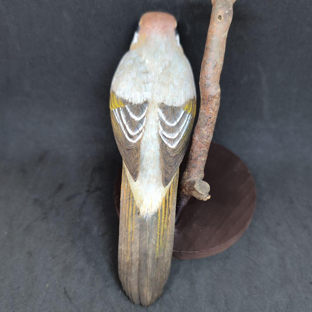 リアルな木製の野鳥　「モズ」　 木彫りの野鳥　バードカービング　野鳥彫刻