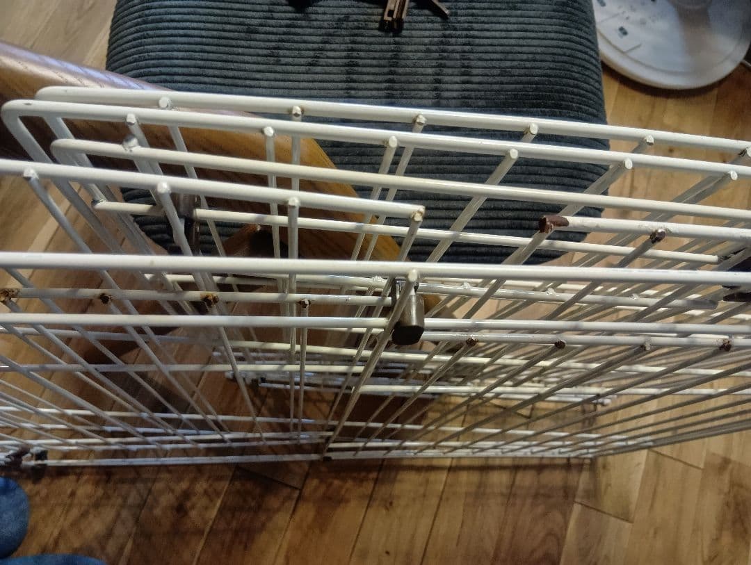 トイレのしつけが出来るドッグルームサークル屋根付き