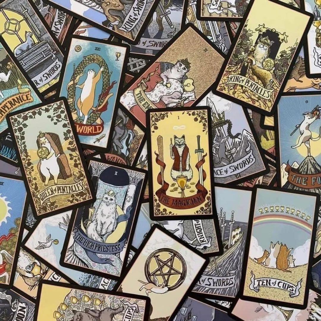 STRAY CAT TAROT BLACK EDITION 猫 タロット 占い