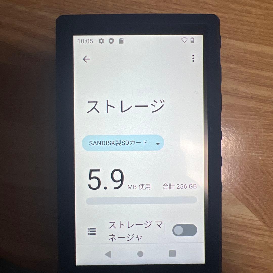 SONY NW-A306 (SD 256GB付き)ウォークマン