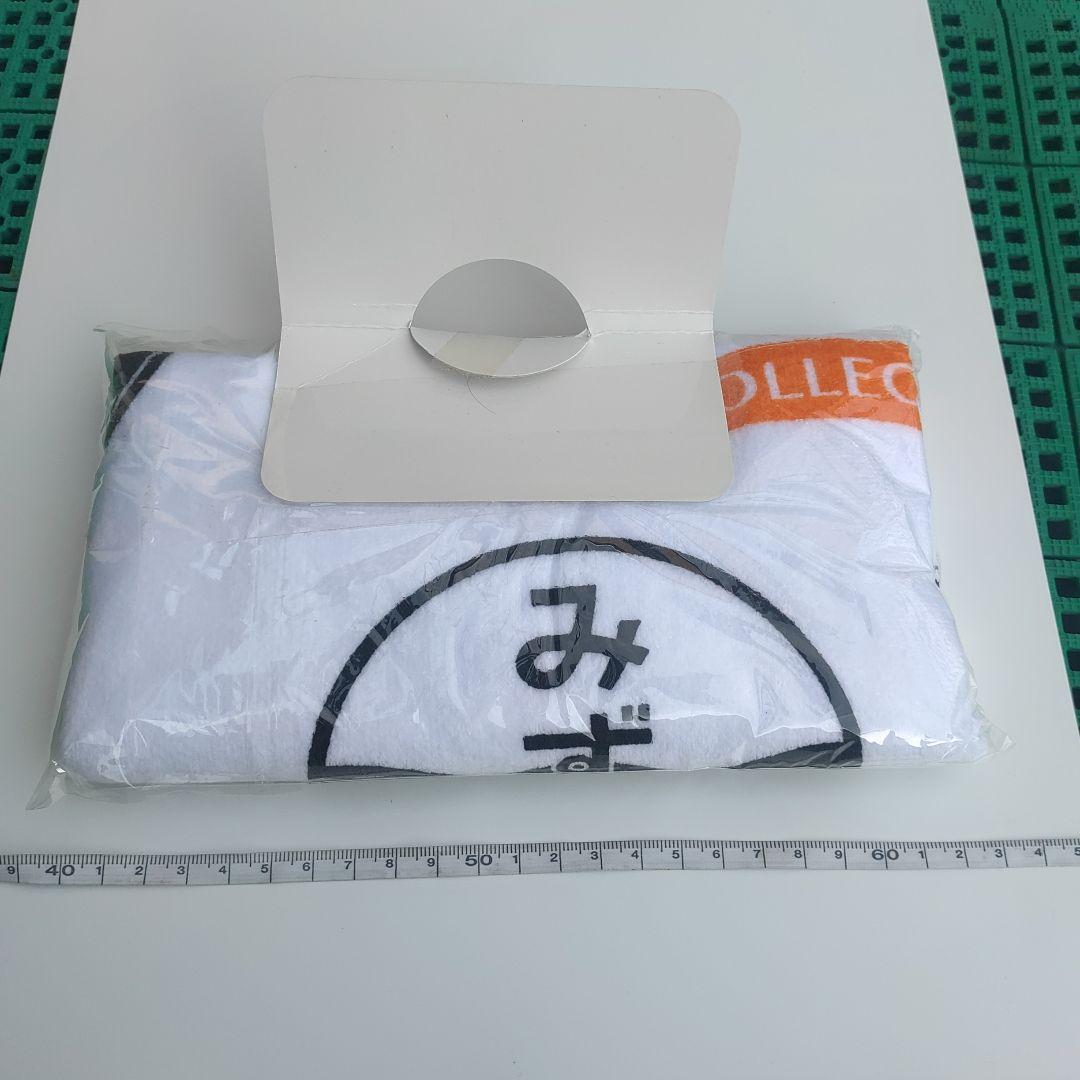 【九州歴代特急】ヘッドマークフェイスタオル