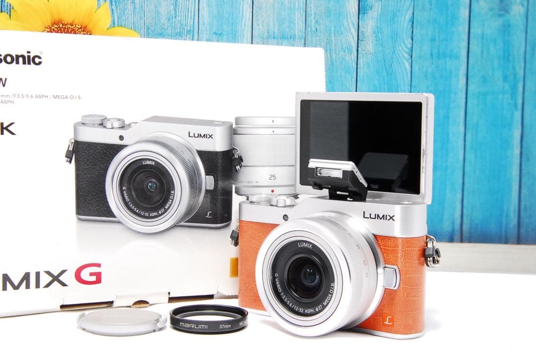 ショット数611回 LUMIX GF9 SNS Wi-Fi チルト ミラーレス