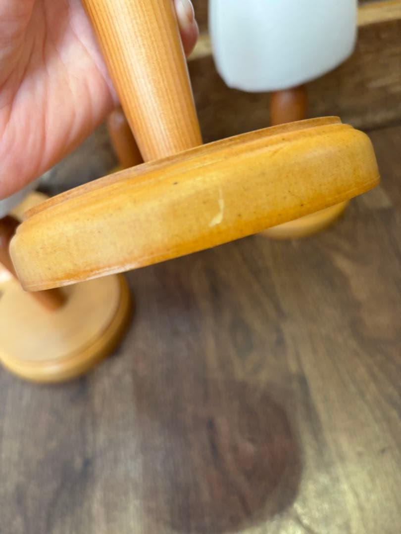 犬服用トルソー 5体セット 木製台座付き