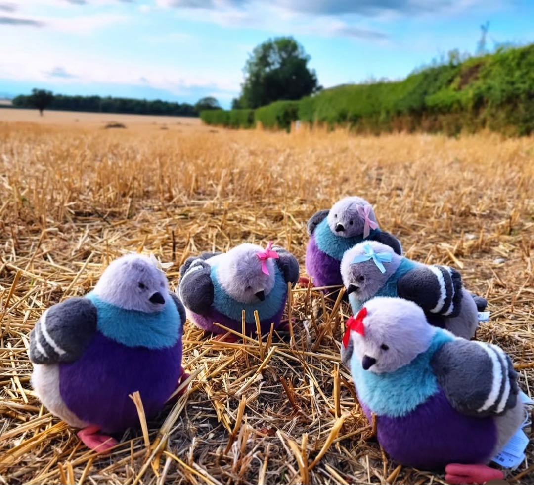 ジェリーキャット Leicester Pigeon（鳩） ロンドン限定 新品