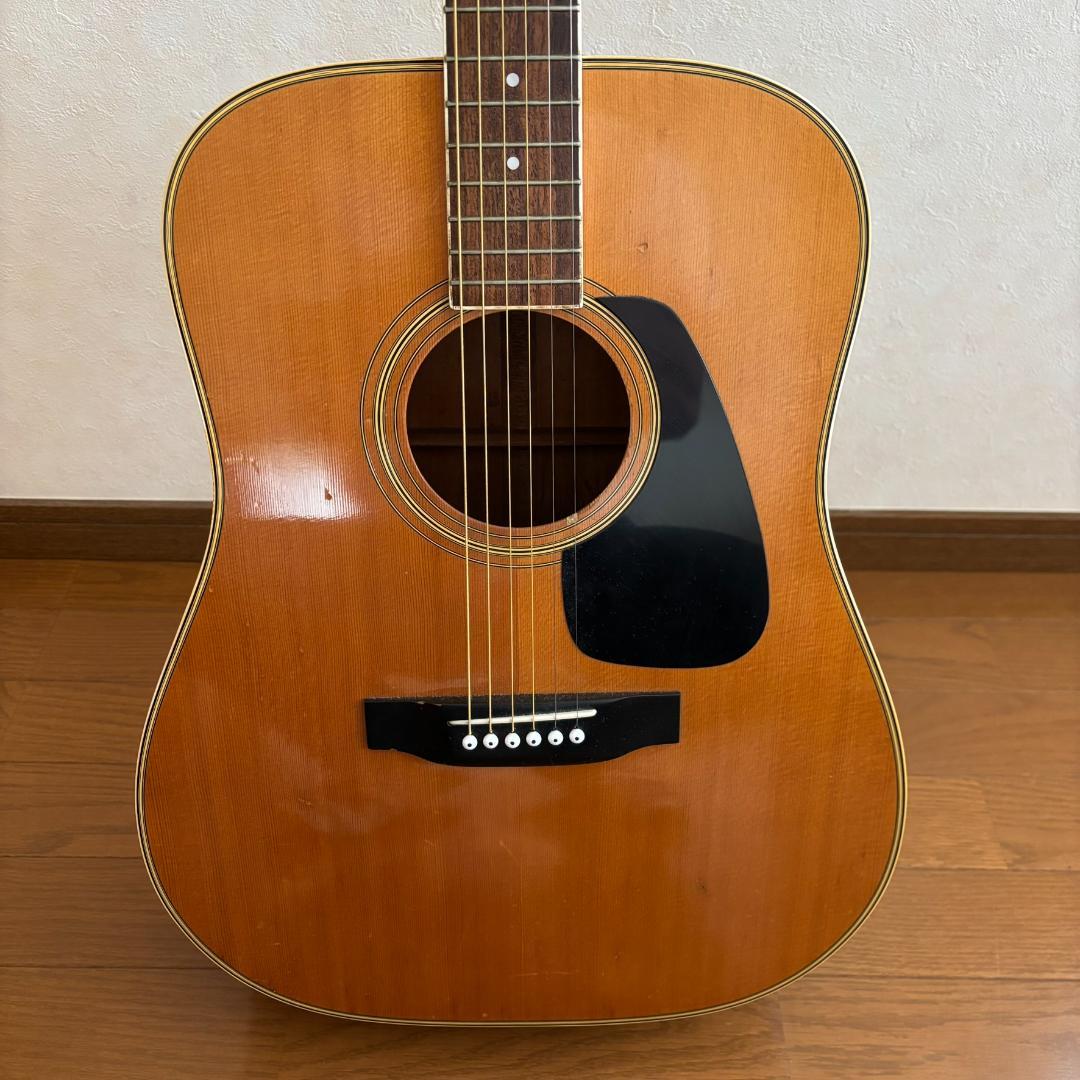 Morris　MD-505　アコースティックギター