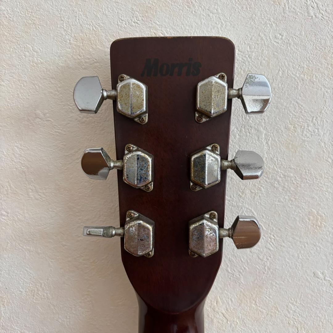 Morris　MD-505　アコースティックギター